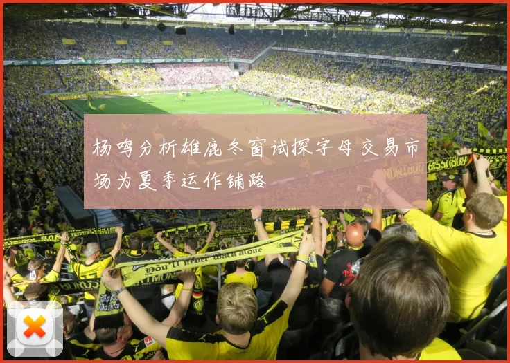杨鸣分析雄鹿冬窗试探字母交易市场为夏季运作铺路