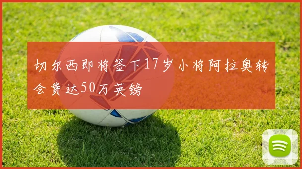 切尔西即将签下17岁小将阿拉奥转会费达50万英镑